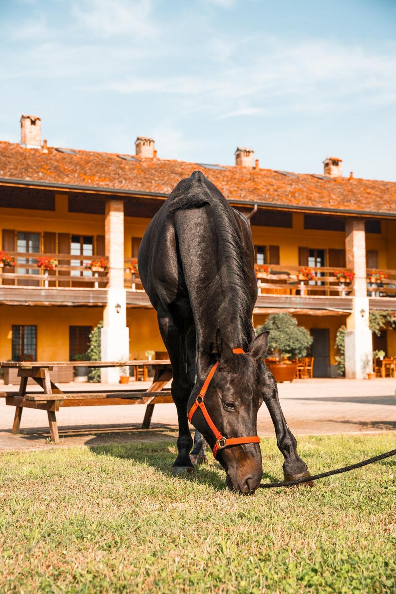 טרויליו Agriturismo Bassanella מראה חיצוני תמונה